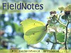 FieldNotes