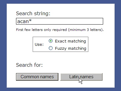 Sub-string searches